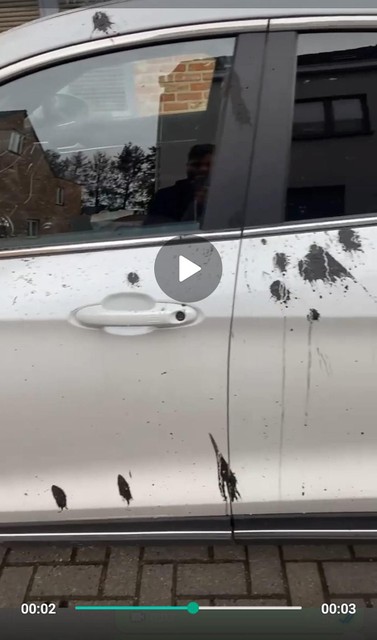 De situatie in Halle-Dorp was erover.