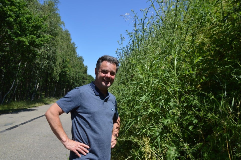 Dimitri Hermans, die in de Boshuisweg in Zandhoven woont, naast de bufferwal vol metershoge distels. Het is een echte jungle.
