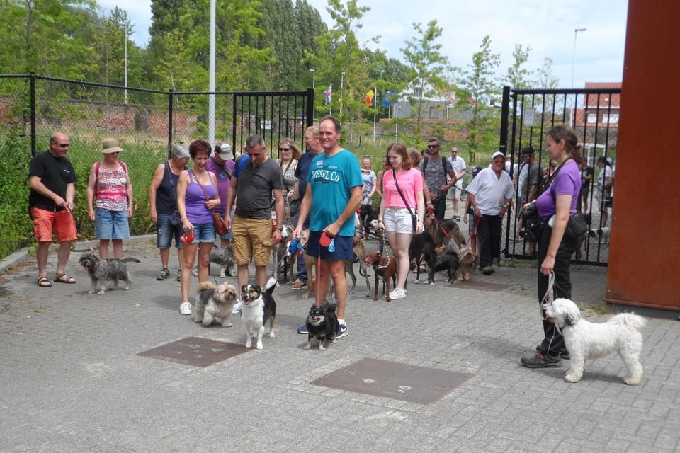 Hondenliefhebbers vertrekken voor de wandeling tijdens een vorige editie. 