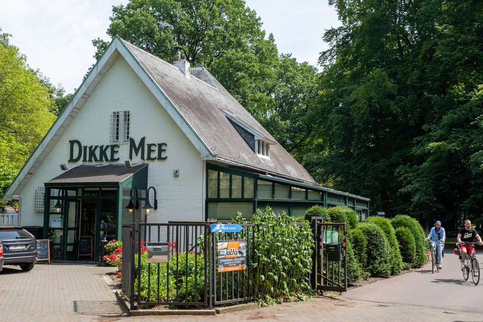Dikke Mee in Antwerpen, vlak bij het Nachtegalenpark.