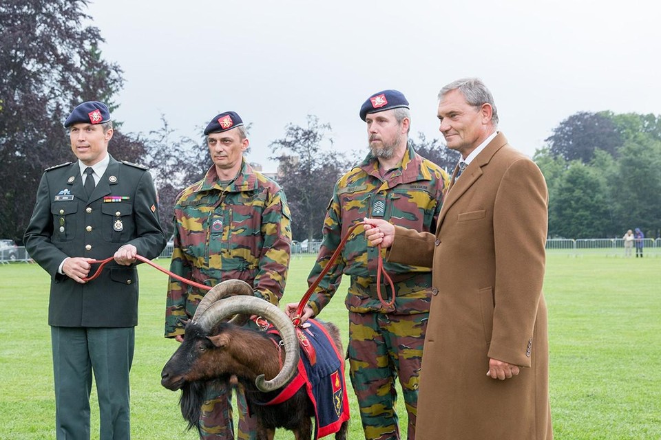 De militairen met kolonel Erik Norga (links) overhandigden in 2014 bok Modest aan schepen Luc Sevenhans. 