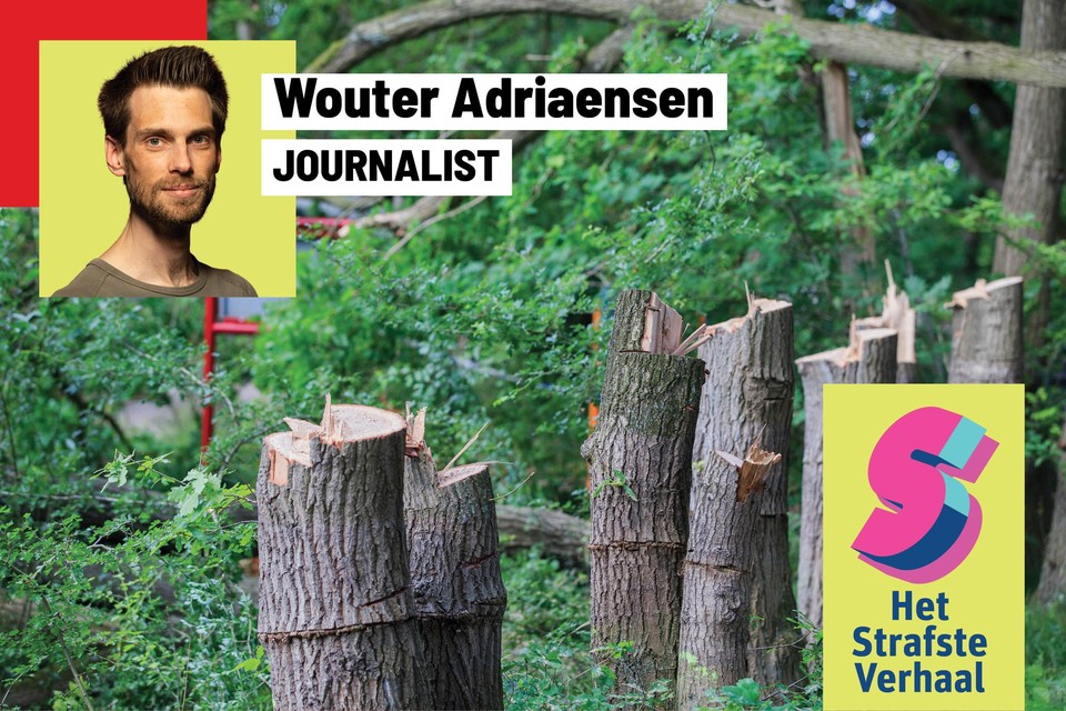 Tientallen bomen rondom het bezoekerscentrum van Landschap De Liereman moesten verwijderd worden nadat vandalen ze toegetakeld hadden.