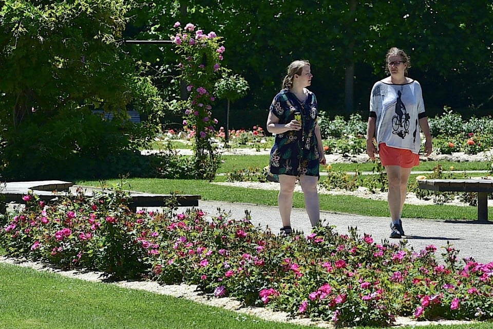 Wandelen tussen duizenden rozen.
