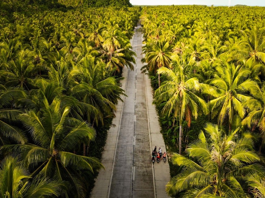 Palm Tree Road op het eiland.