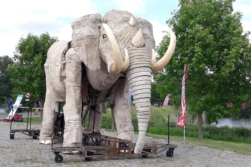 De olifant Rani wordt het hoogtepunt van het Straattheaterfestival en ging al eens op wandel in Deurne. 