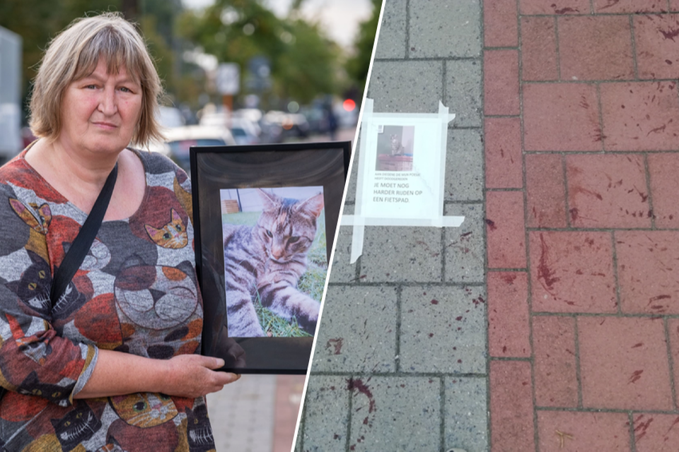 Ingrid Wouters met een foto van haar doodgereden kat Nouchke / Rechts: de plek waar Nouchke is aangereden op het fietspad. 