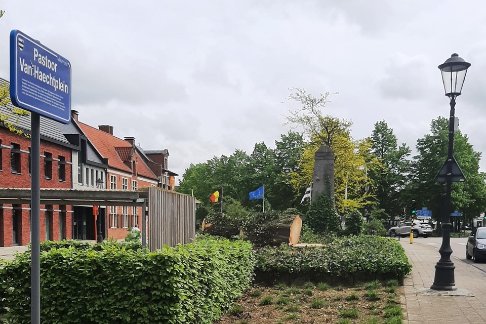 De rode beuk verdween zaterdag uit het Meerhoutse straatbeeld.