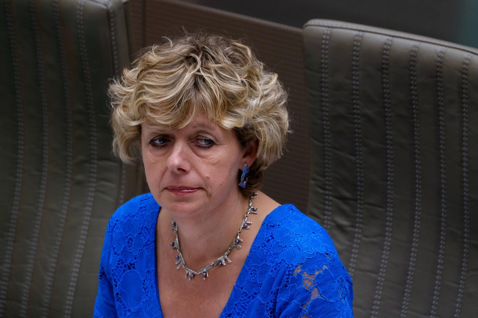 Vlaams volksvertegenwoordiger Katrien Schryvers (CD&V).
