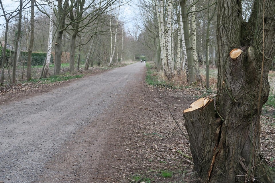 Het verlengde van de Listdreef vormt de toegang tot de Bonte Hannek. De natuur langs beide zijden van de dreef werd flink opgekuist.