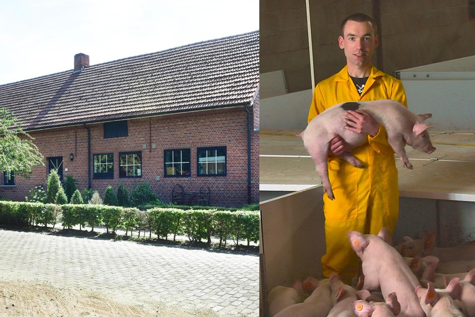 Davy Verheyen (29) woonde alleen in de boerderij die hij van zijn ouders had overgenomen. 