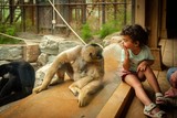 thumbnail: De gibbons zijn even nieuwsgierig naar de bezoekers toe dan omgekeerd. 