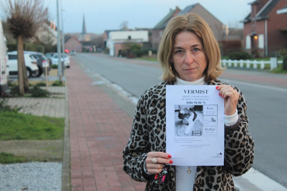 Tamara Verlinden uit Heffen is wanhopig op zoek naar het 15-jarige hondje van haar moeder. 