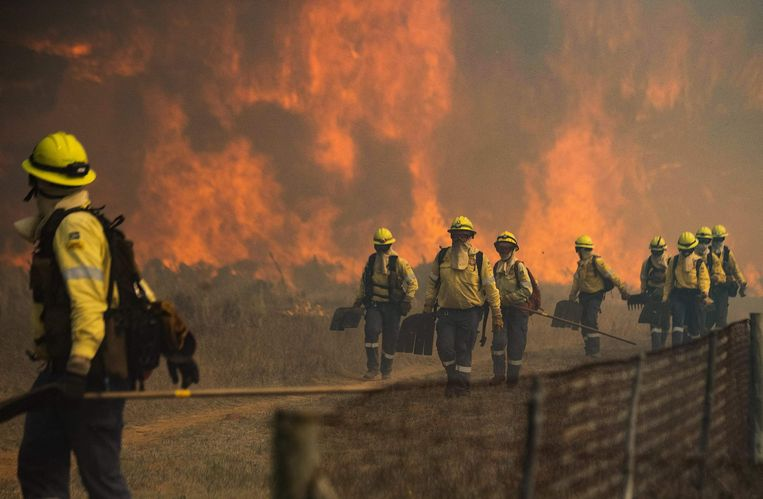 De brandweer krijgt het vuur niet onder controle door de strakke wind.