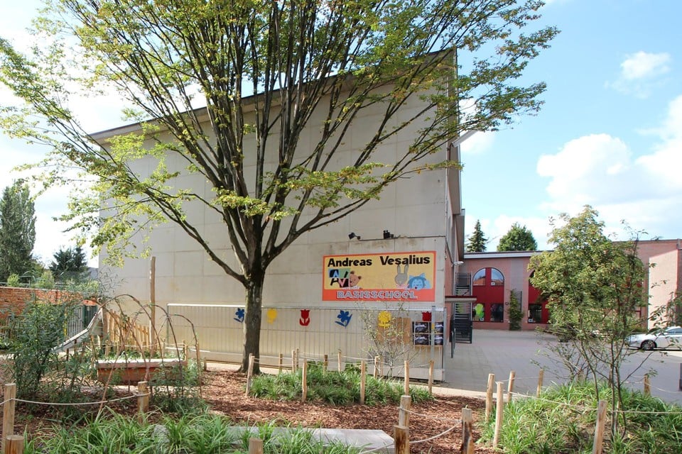Edegem organiseert een zomerschool in juli en augustus.