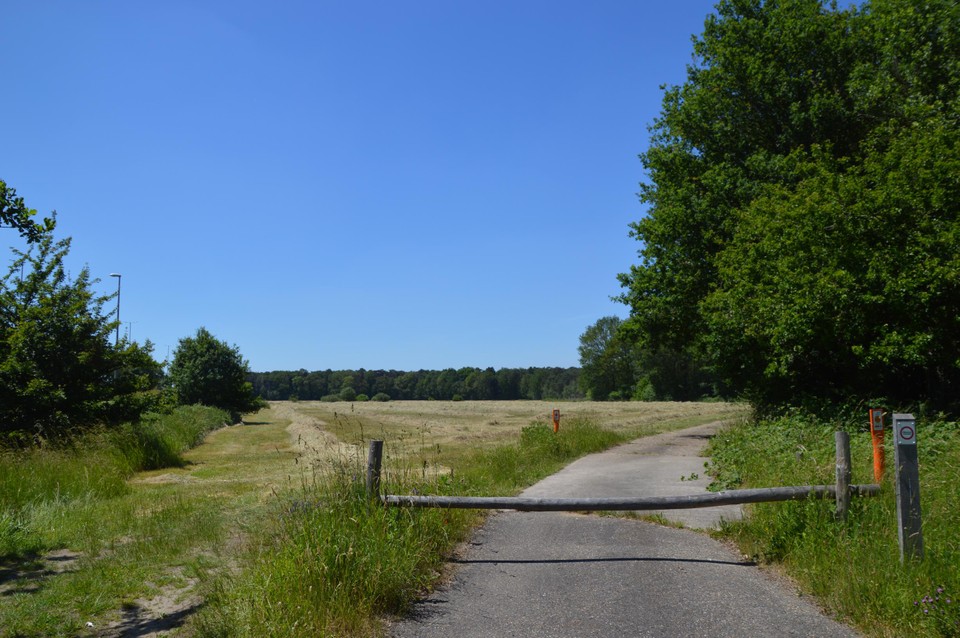 Hier door deze weide aan Sjauwel komen paden voor ruiters, wandelaars en fietsers. Zo kunnen ze van hieruit gemakkelijk ’t Boshuisje bereiken.