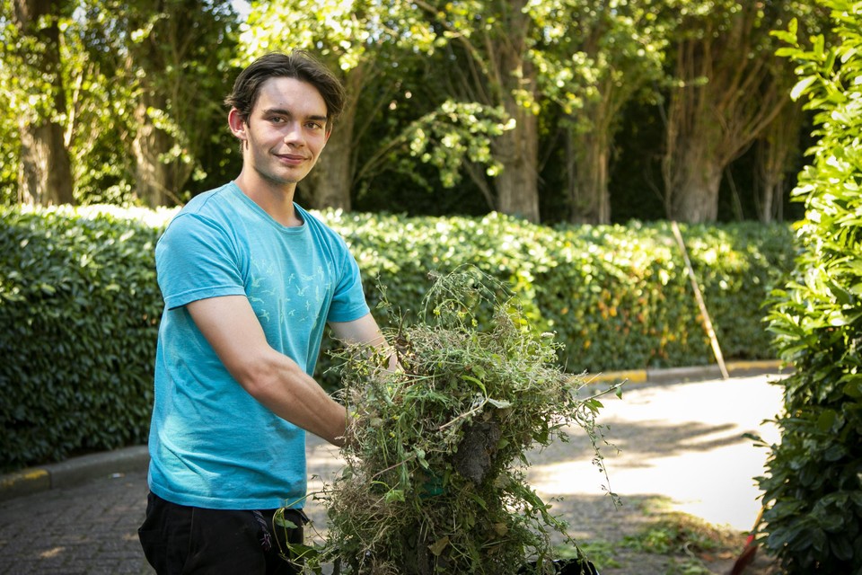 Ilias Wijns, die autisme heeft, doet een studentenjob bij de groendienst van Het Rekreatief.  