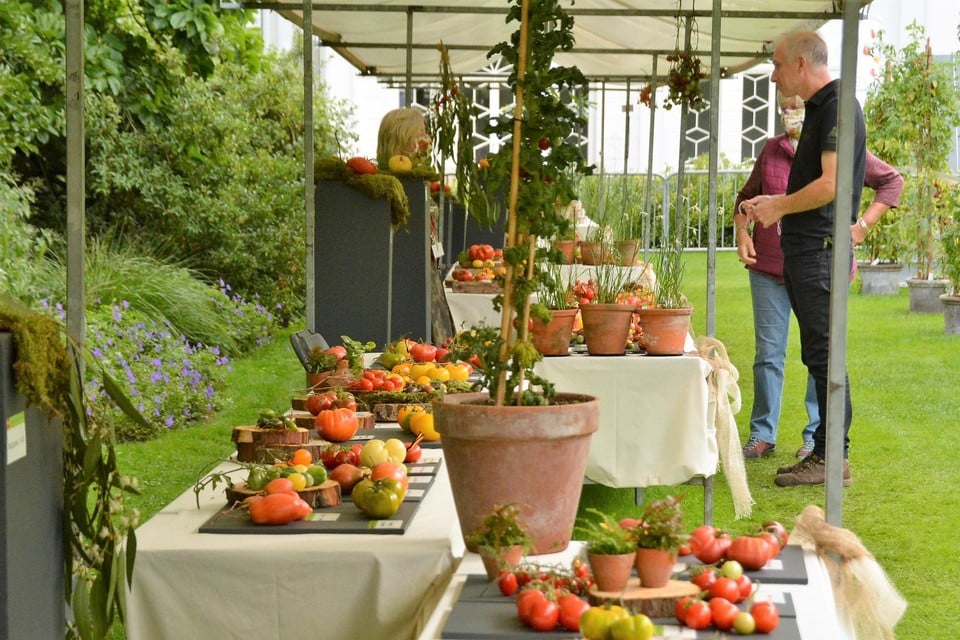 Honderden tomatenrassen verwelkomen de bezoekers.