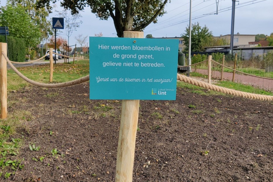 Langs de fietsostrade in Lint moeten volgend jaar vele bloemen bloeien.