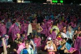 thumbnail: null