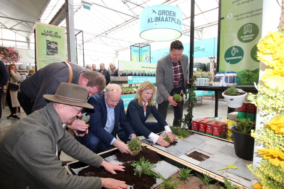 Het Groen Klimaatplein toont welke planten geschikt zijn voor tuinen.