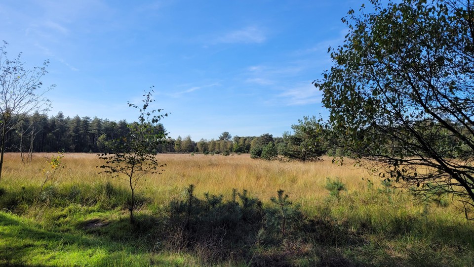 Onder meer het Grenspark Kalmthoutse Heide maakt deel uit van de klimaatgordel.