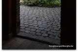 thumbnail: null