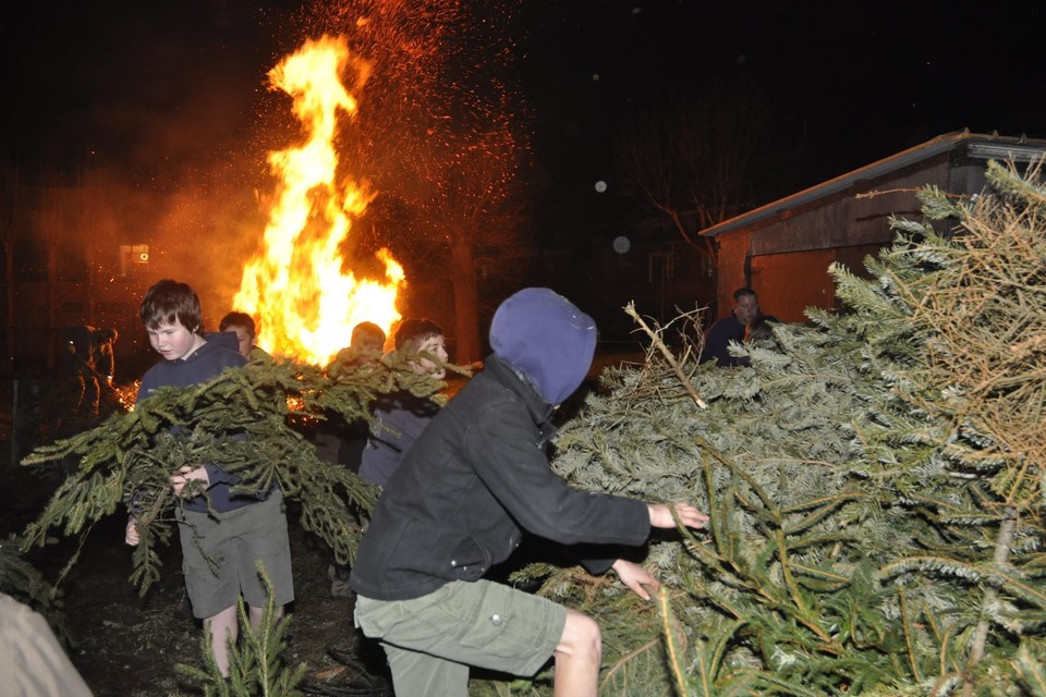 Scoutsleden zeulen kerstbomen aan om op het vuur te gooien. 