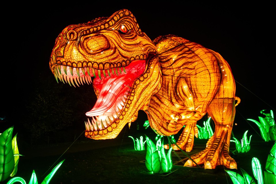 Deze t-rex torent boven alle bezoekers uit.