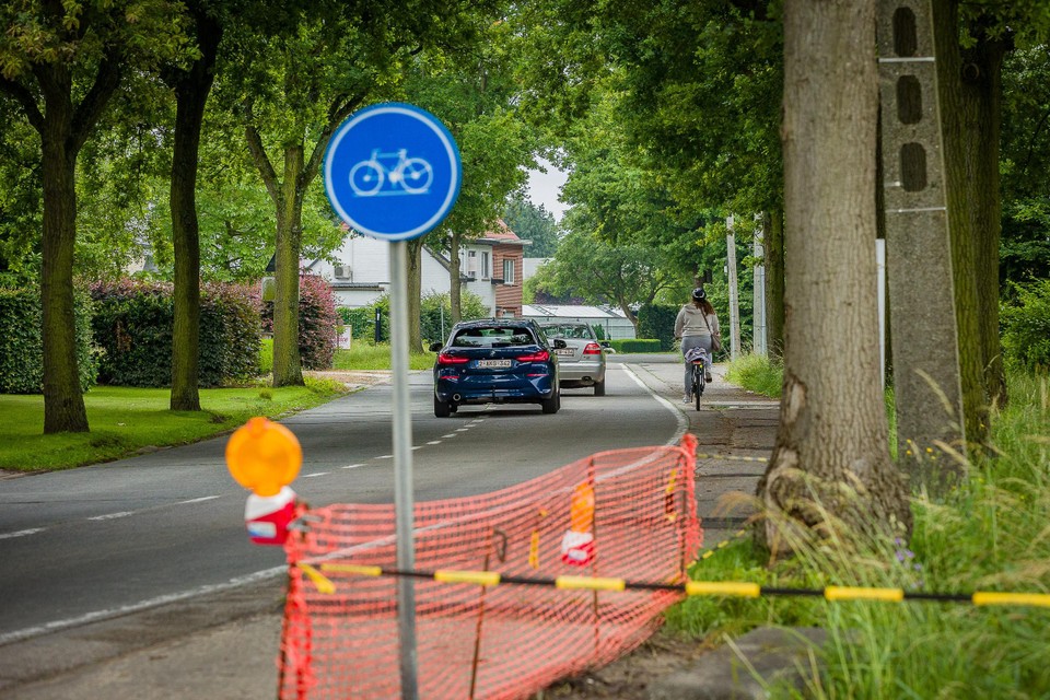 De bomen in de Bergstraat moeten plaatsmaken voor veiligere fietspaden. 