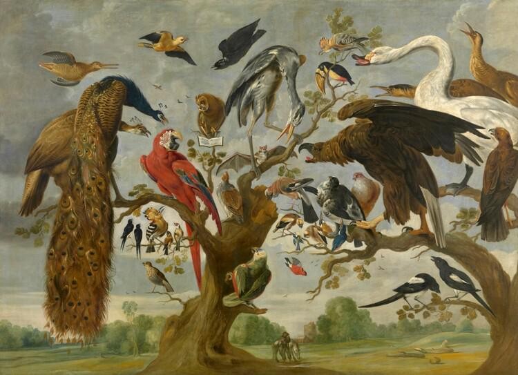 Vogelconcert van Paul de Vos. 