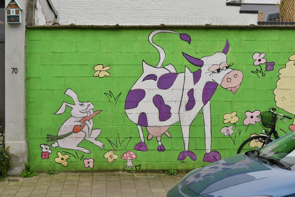 Weidestraat in Berchem.