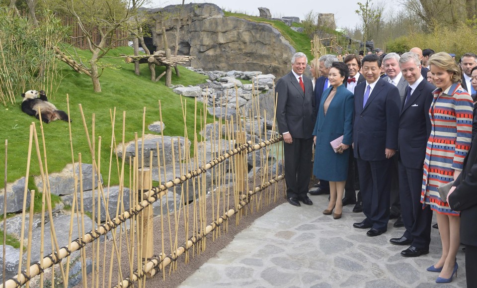 Reynders en Di Rupo, hier op de achtergrond bij Domb en de Chinese president Xi Jinping, speelden een sleutelrol in de komst van de panda’s naar Pairi Daiza.