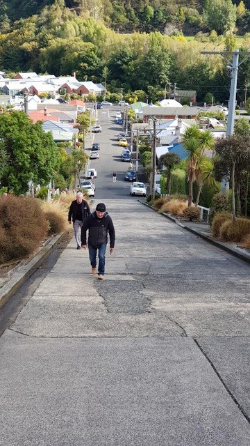 Misschien verstandig om het (op één na) steilste straatje ter wereld te voet in plaats van met de fiets te doen.