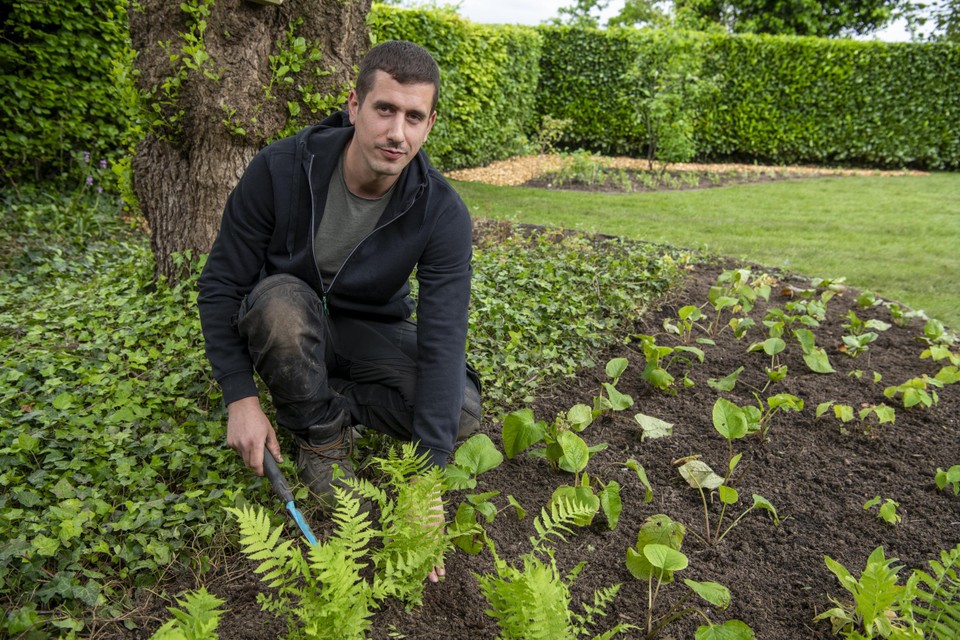 Yannick werkt een tuin af van een woning in Kontich.