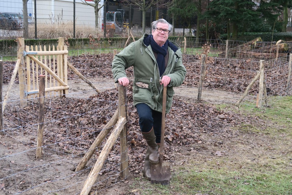 Schepen van Leefmilieu Walter Brat bij het pas aangeplante Tiny Forest tussen de Marsstraat en de industriezone Albertkanaal in de Wijk Deuzeld “Dit kleine bosje heeft ook een grote educatieve waarde.”
