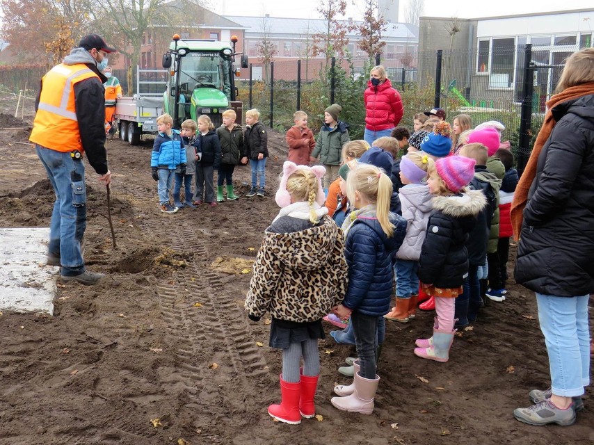 De kinderen uit de derde kleuterklas van de gemeentelijke basisschool Schransdries in Beerse planten mee bomen.