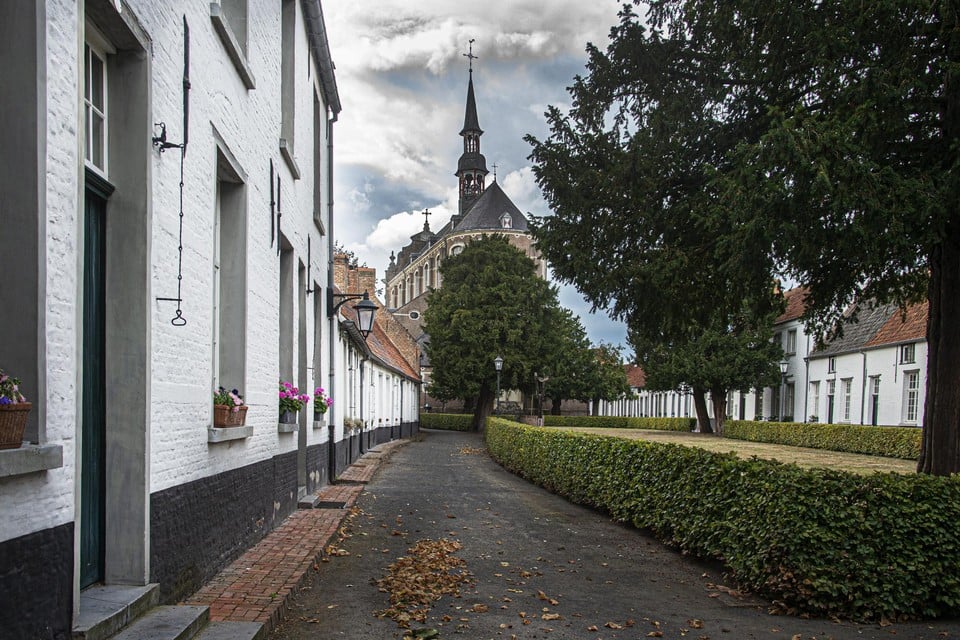 De home-invasion vond plaats in het Begijnhof in Hoogstraten.