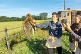 thumbnail: Ward en collega’s hebben net een bruine kiekendief (Circus aeruginosus) geringd in hun vangplaats in Vorselaar.