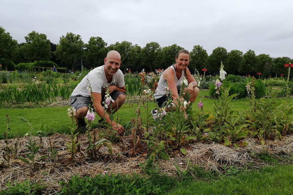 Ben en Marianne verzorgen hun bloemplukweide.