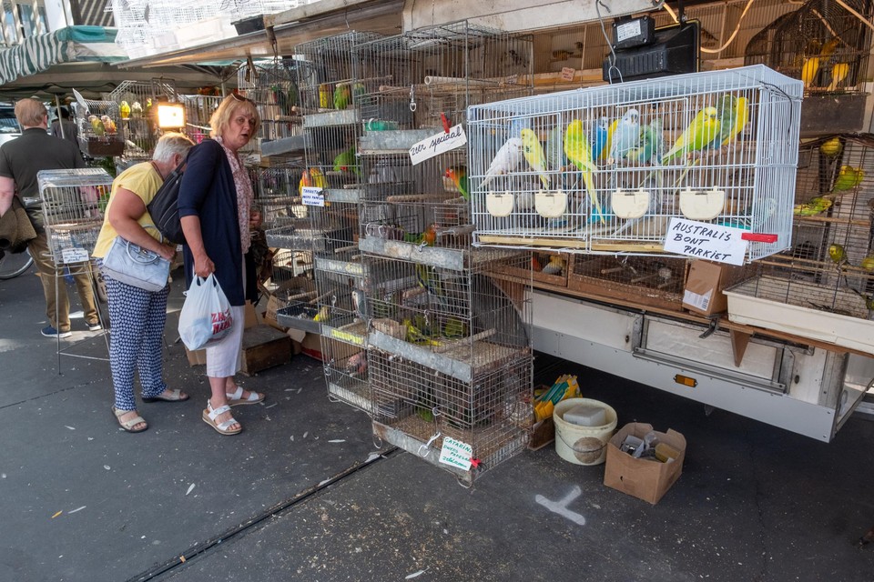 De Vogelenmarkt zal in de zomer en de winter even lang open zijn. 