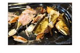 thumbnail: null