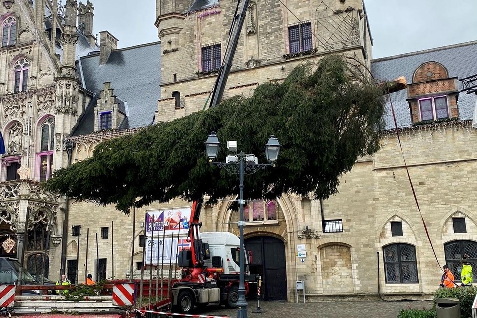 Met een kraan is de kerstboom dinsdagnamiddag op zijn plaats voor het stadhuis gezet. 