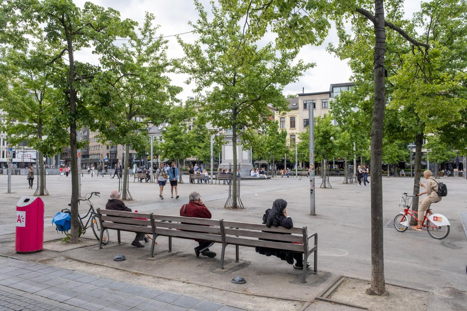 Er komen meer bomen en de Groenplaats wordt anders ingericht.