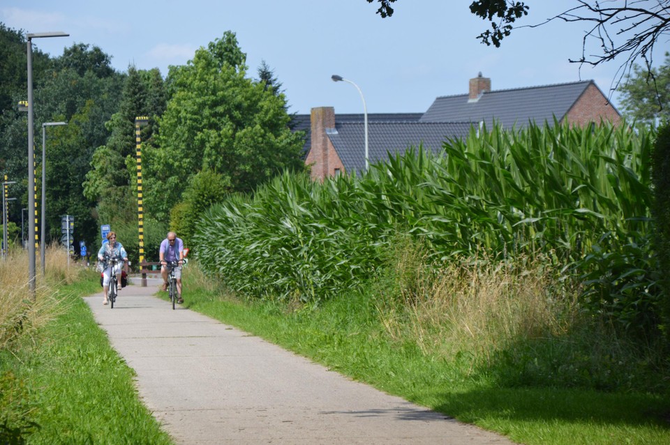 Het fietspad naast het maïsveld, waar zo’n tien jaar geleden het Merovingisch grafveld werd blootgelegd.