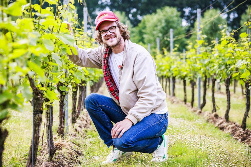 Bart Hollanders volgt sinds september een opleiding wijnmaker in Anderlecht. 