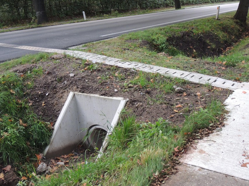 Er werden vier ecotunnels aangelegd onder de Kampweg.