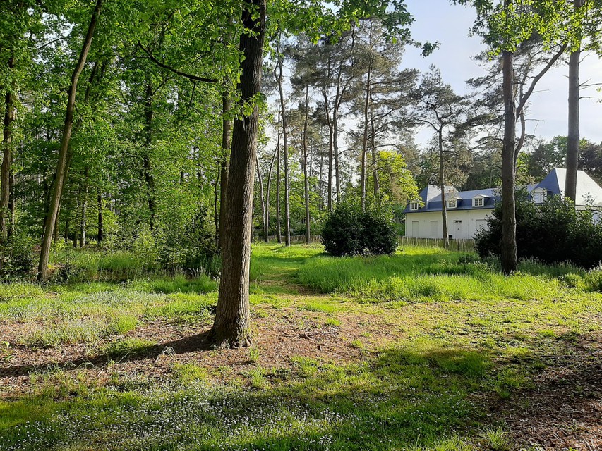 De natuurbegraafplaats in het vroeger bos van Villa Markey. Eigenlijk best een mooie eindhalte van het leven.