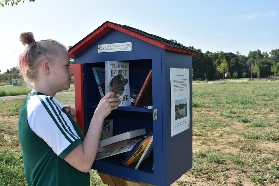 In Puurs-Sint-Amands staan al langer boekenruilhuisjes.