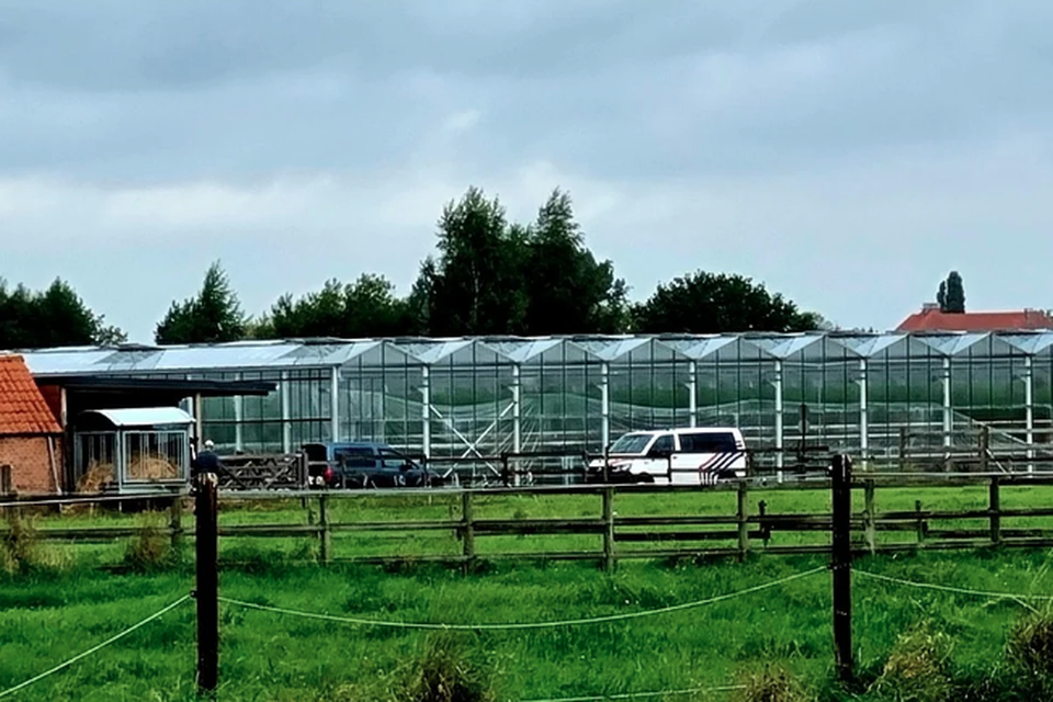 De politie viel op vrijdag 10 september binnen bij de tomatenkwekerij in Onze-Lieve-Vrouw-Waver.