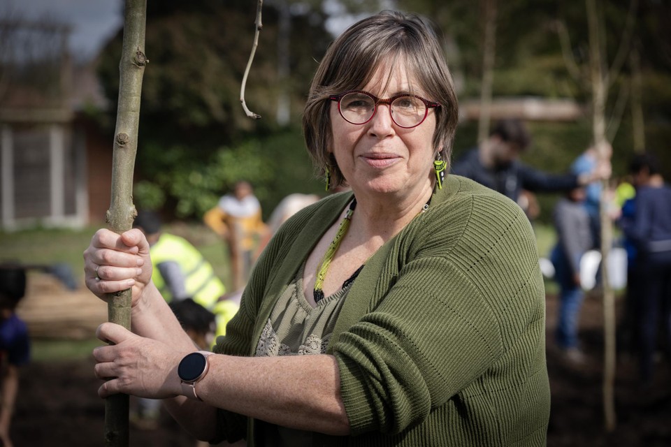 Volgens Hilde Vandenhoudt van Thomas More biedt een minibos dezelfde voordelen als een groot bos maar groeit het tien keer sneller.
